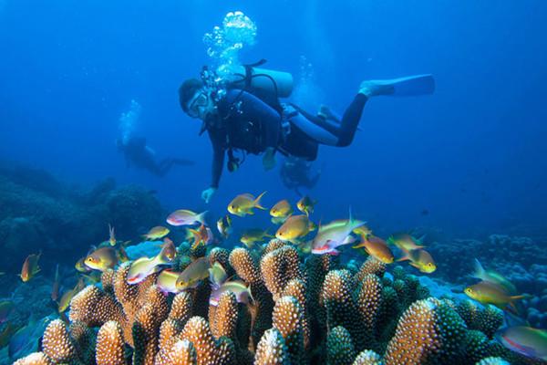 潜水有年龄限制吗 潜水会导致中耳炎吗 潜水有年龄限制吗 潜水会导致中耳炎吗