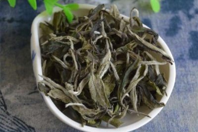 ​白牡丹茶是喝新的还是陈的 白牡丹茶是不是越老越好