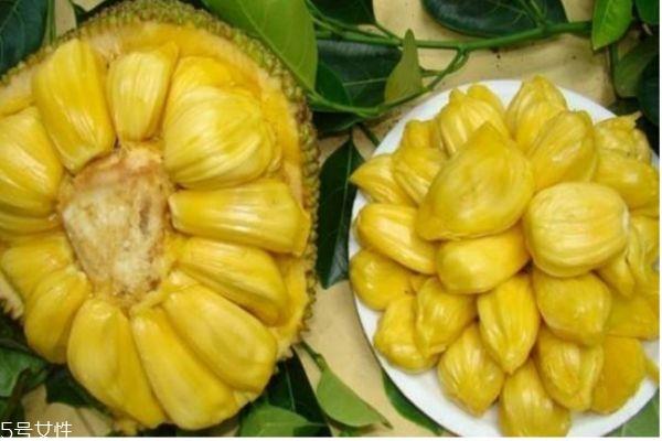 菠萝蜜剥开没熟怎么办 菠萝蜜的核有什么作用 菠萝蜜剥开没熟怎么办 菠萝蜜的核有什么作用