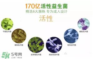 益生菌哪个牌子好?哪个牌子的益生菌好? 益生菌哪个牌子好?哪个牌子的益生菌好?