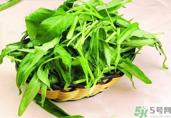 空心菜有什么功效?空心菜的功效是什么? 空心菜有什么功效?空心菜的功效是什么?