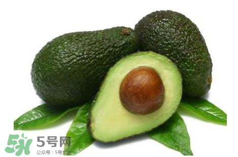 牛油果的营养价值是多少?牛油果热量高吗? 牛油果的营养价值是多少?牛油果热量高吗?