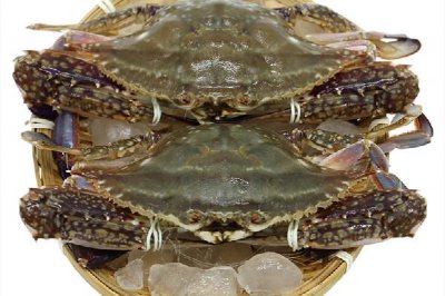 ​梭子蟹吃起来涩嘴什么原因 梭子蟹吃起来苦怎么回事