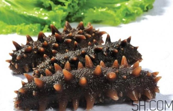 术后能吃海参吗?术后吃海参的功效与作用 术后能吃海参吗?术后吃海参的功效与作用