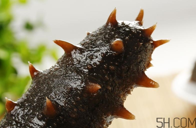 术后能吃海参吗?术后吃海参的功效与作用 术后能吃海参吗?术后吃海参的功效与作用