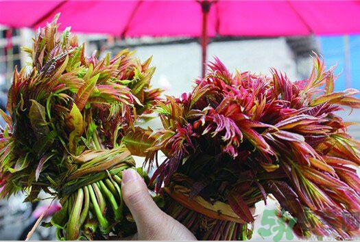 香椿怎么吃才安全?吃香椿的最佳时间是什么时候? 香椿怎么吃才安全?吃香椿的最佳时间是什么时候?