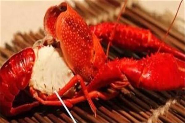 龙虾的吃法有哪些 龙虾的吃法是什么 龙虾的吃法有哪些 龙虾的吃法是什么