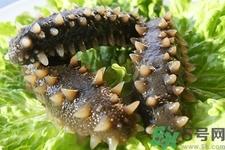 吃海参有什么讲究吗?与海参相克的食物禁忌 吃海参有什么讲究吗?与海参相克的食物禁忌