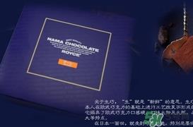 royce生巧克力哪个口味好吃?royce生巧克力有哪些口味? royce生巧克力哪个口味好吃?royce生巧克力有哪些口味?