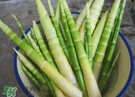 竹笋能放冰箱吗？竹笋放冰箱怎么保存？