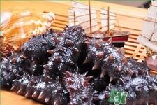 新鲜海参和干海参哪种更好?海参的品种有哪些? 新鲜海参和干海参哪种更好?海参的品种有哪些?