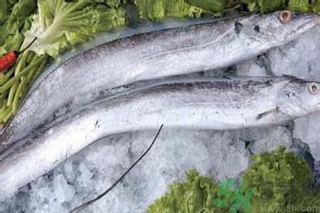 冻带鱼怎么解冻?带鱼内脏怎么洗? 冻带鱼怎么解冻?带鱼内脏怎么洗?