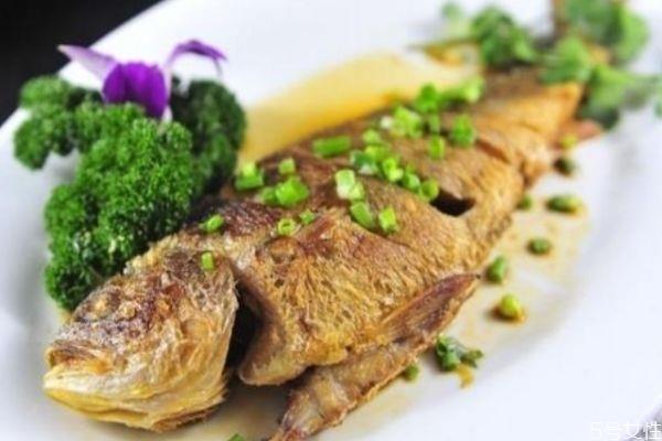 白姑鱼怎么做好吃呢 白姑鱼的选购方法有什么呢 白姑鱼怎么做好吃呢 白姑鱼的选购方法有什么呢