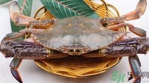 梭子蟹怎么挑选?梭子蟹挑选图解 梭子蟹怎么挑选?梭子蟹挑选图解