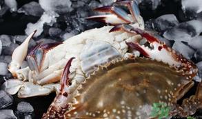 梭子蟹怎么挑选?梭子蟹挑选图解 梭子蟹怎么挑选?梭子蟹挑选图解