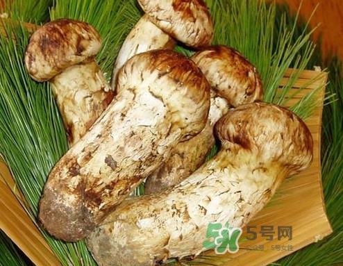 新鲜松茸怎么清洗?新鲜松茸怎么处理 新鲜松茸怎么清洗?新鲜松茸怎么处理