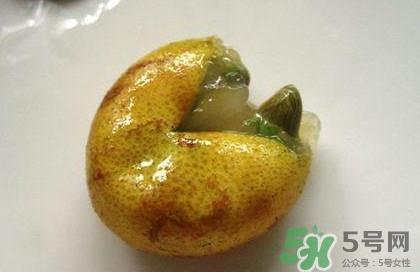 黄皮果核能治疗什么病?黄皮核的功效与作用 黄皮果核能治疗什么病?黄皮核的功效与作用