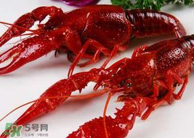 龙虾发苦怎么回事?龙虾发苦能吃吗? 龙虾发苦怎么回事?龙虾发苦能吃吗?