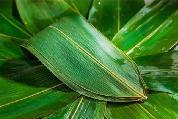 粽叶有点发霉还能用吗 粽叶有霉味怎么处理 粽叶有点发霉还能用吗 粽叶有霉味怎么处理