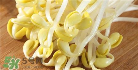 黄豆芽发黑了还能吃吗?黄豆芽发黑了怎么办? 黄豆芽发黑了还能吃吗?黄豆芽发黑了怎么办?