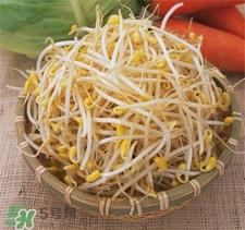 黄豆芽发黑了还能吃吗?黄豆芽发黑了怎么办? 黄豆芽发黑了还能吃吗?黄豆芽发黑了怎么办?