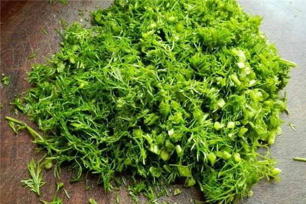 茴香一天吃多少合适 不建议过多食用