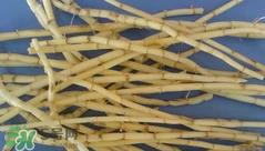 茅根的功效与作用 茅根有什么作用? 茅根的功效与作用 茅根有什么作用?