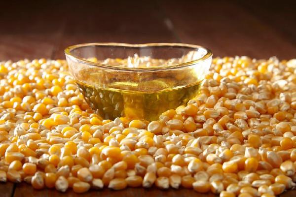 玉米油和花生油哪个更健康 玉米油适合什么人群吃 玉米油和花生油哪个更健康 玉米油适合什么人群吃