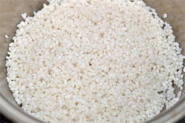 糯米可以补气吗 糯米和什么一起吃补气 糯米可以补气吗 糯米和什么一起吃补气