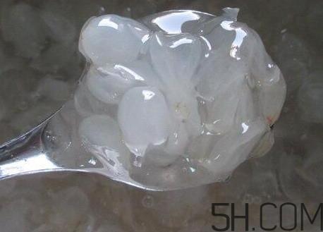 皂角米什么人不能吃?皂角米什么地方产的好? 皂角米什么人不能吃?皂角米什么地方产的好?