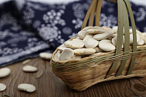 白芸豆一天适合吃多少 白芸豆吃多了会怎样 白芸豆一天适合吃多少 白芸豆吃多了会怎样