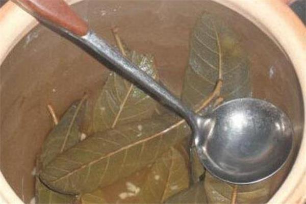 枇杷叶煮水要去毛吗 枇杷叶上面的毛有毒吗 枇杷叶煮水要去毛吗 枇杷叶上面的毛有毒吗