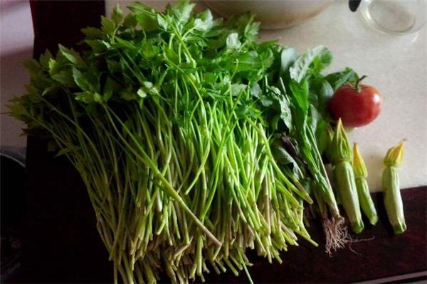 水芹菜是什么季节的 水芹菜一般是哪个季节吃的 水芹菜是什么季节的 水芹菜一般是哪个季节吃的