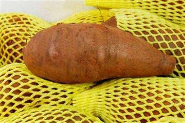 雪莲果变红还能吃吗 口感不太好 雪莲果变红还能吃吗 口感不太好