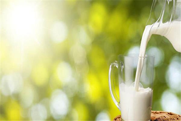 羊奶会导致腹泻吗 喝羊奶注意事项 羊奶会导致腹泻吗 喝羊奶注意事项
