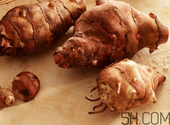 洋姜怎么做好吃?洋姜怎么腌制 洋姜怎么做好吃?洋姜怎么腌制