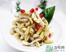 花生芽的营养价值 花生芽的功效与作用 花生芽的营养价值 花生芽的功效与作用