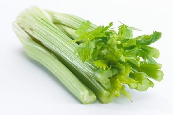 吃芹菜补钙吗 吃芹菜补铁吗