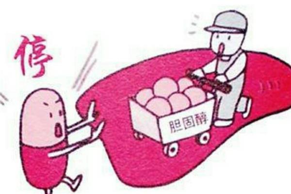 胆固醇偏高的人饮食要注意不然有危险 胆固醇偏高的人饮食要注意不然有危险