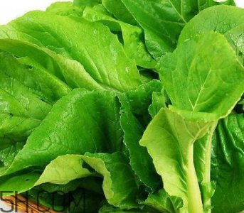 ​青菜是凉性还是热性 青菜是发物吗