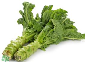 莴笋为什么会苦?莴笋苦能吃吗? 莴笋为什么会苦?莴笋苦能吃吗?