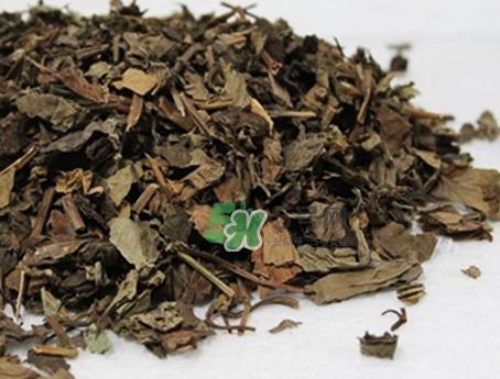 紫苏叶不能和什么一起吃_紫苏叶和什么食物相克 紫苏叶不能和什么一起吃_紫苏叶和什么食物相克