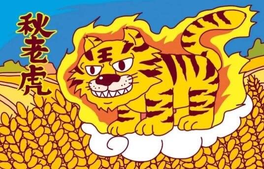 网络配图 网络配图