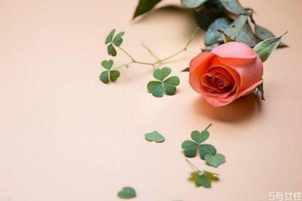 爱情的傀儡 什么是爱情的傀儡 爱情的傀儡 什么是爱情的傀儡