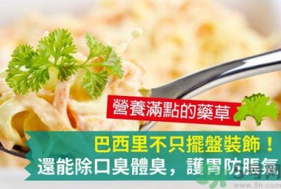 ​吃芹菜可以去口臭吗？口臭可以吃芹菜吗？