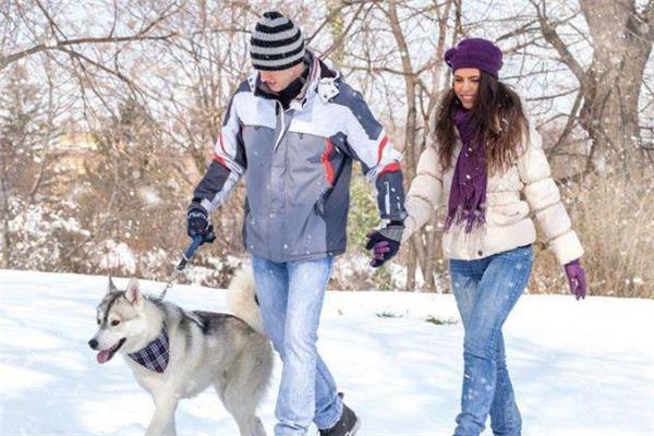 夫妻假离婚有什么影响 夫妻假离婚有法律保障吗 夫妻假离婚有什么影响 夫妻假离婚有法律保障吗
