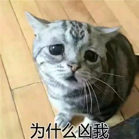 哄女朋友开心的表情包8