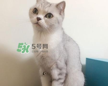 bvlgari宝格丽慈善款项链真假怎么辨别_真假对比图 bvlgari宝格丽慈善款项链真假怎么辨别_真假对比图