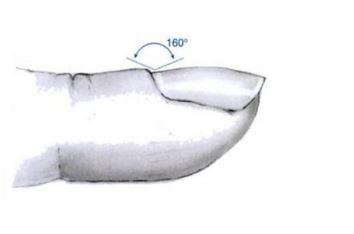 1459158523334195.jpg 98091.jpg