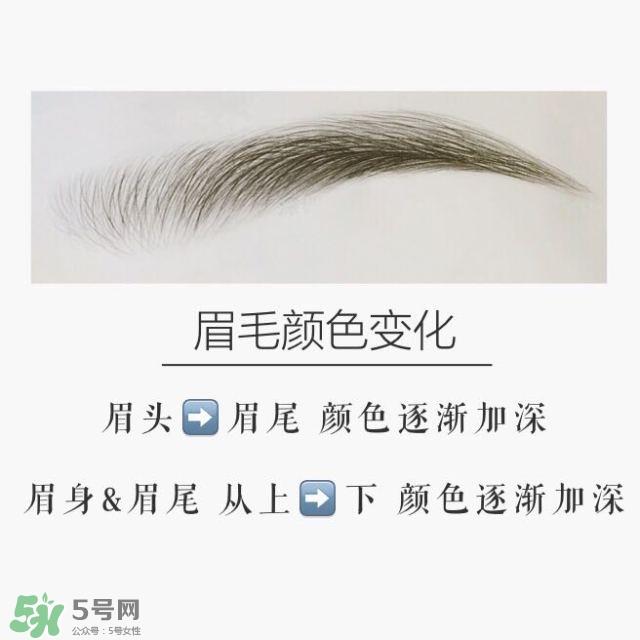 好看的眉形图片 四种眉形画法教程